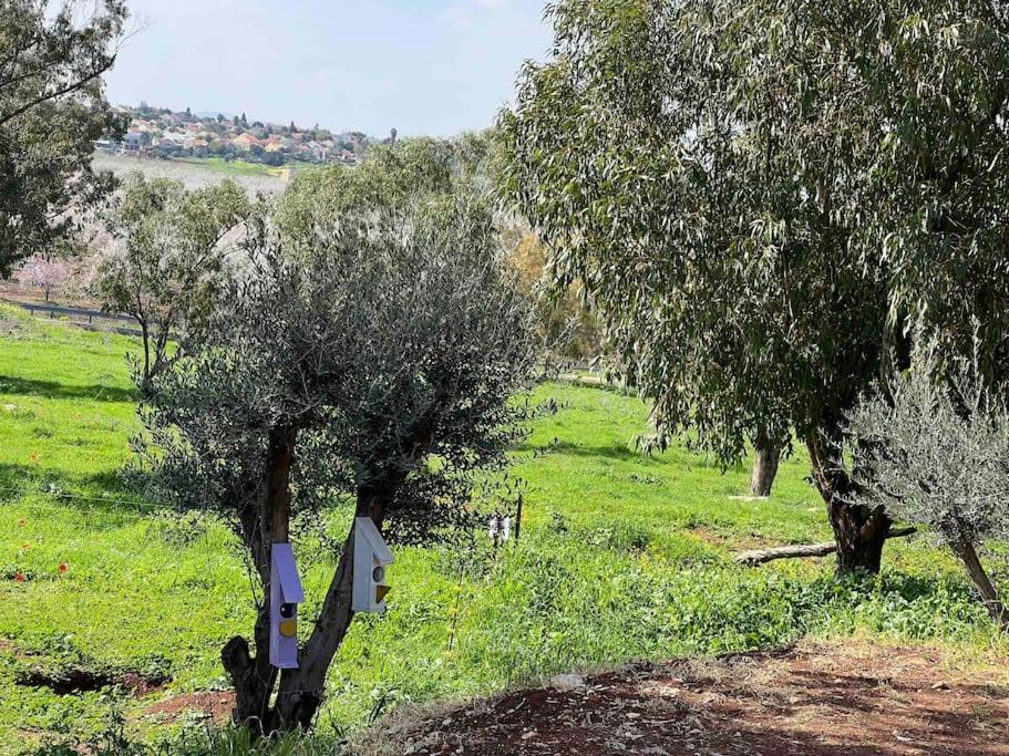 אחוזת היניבים Yaniv Estate Vila Nurit Exterior foto
